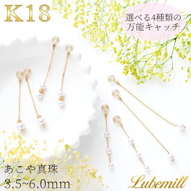 【今だけ5%OFFクーポン配布中！】【16日(木)01時59分マデ！】 キャッチ ピアス パール ピアスキャッチ 18k 落ちない パールピアス 18金 k18 ぶら下がり ロングピアス シンプル レディース おしゃれ カジュアル 入学式 ギフト チェーン シリコンキャッチ 母の日