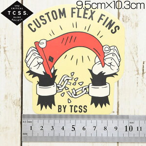 yNAXZ[z TCSS eB[V[GXGX STICKER XebJ[ The Critical Slide Society ASTICK17