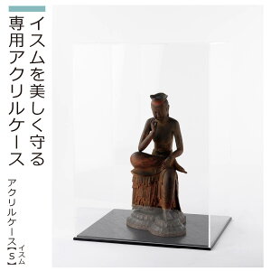 �y���[�J�[���c�z �C�X���w�A�N�����P�[�XS�x�i�C�X�� ��p�P�[�X �R���N�V�����P�[�X �ی� ���� �ق���J�o�[ �ӏܗp ���S S�T�C�Y �A�N�����P�[�X S�j