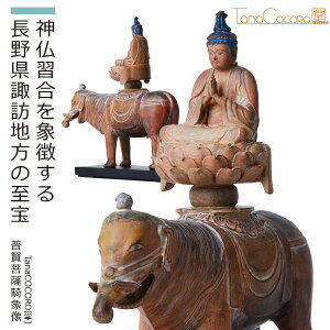 y300̌萶Yz TanaCOCORO[]wFRۑxiCX TanaCOCORO   tBMA  mp CeA u vJ AWAG |Xg[ Ȃ F Rۑ 