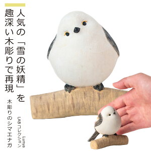 yS̃[J[cAz Little Animal BuddhaRNVwؒ̃V}GiKxiCeA u  V}GiK 킢 쒹  ؒ  LABRNV L  
