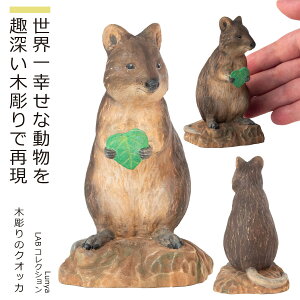 yv̈ꕔRیɊt܂z Little Animal BuddhaRNVwؒ̃NIbJxiCeA u  NIbJ 킢 ؒ ʌ ǂR EKȓ