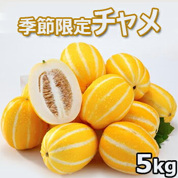 楽天市場 送料無料 冷蔵便 韓国産 チャメ 5kg 13 15玉入 季節 数量限 果物 フルーツ ゴールドメロン チャーメ まくわうり マクワウリ 夏バテ 大きいサイズのlylon Japan