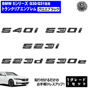 BMW 5�V���[�Y G30 G31 540i 530i 523i 523d 530e ��p �g�����N���A�G���u���� �O���X�u���b�N�y���A�o�b�W ���A�G���u���� �g�����N�G���u���� �g�����N ���Q�b�W ���A�o�b�` �X�e�b�J�[ �G���u����