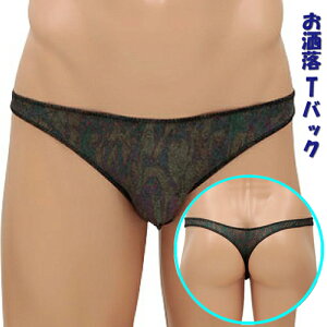 �X�y�N�g�� T�o�b�N �ʒ��F �����Y�V���[�c �����Y�r�L�j �j������ XL�T�C�Y 5DF012MI