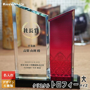  NX^ gtB[ WCR-39 zCgKX Г\ DG NLO F 荇i DgtB[ StRy