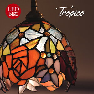 XehOX@Tropico@gsR@y_gv@Ɩ  _CjOp Hp rOp ԗp Ɩ led k y_g Cg 킢 LEDdΉ 46 L  X