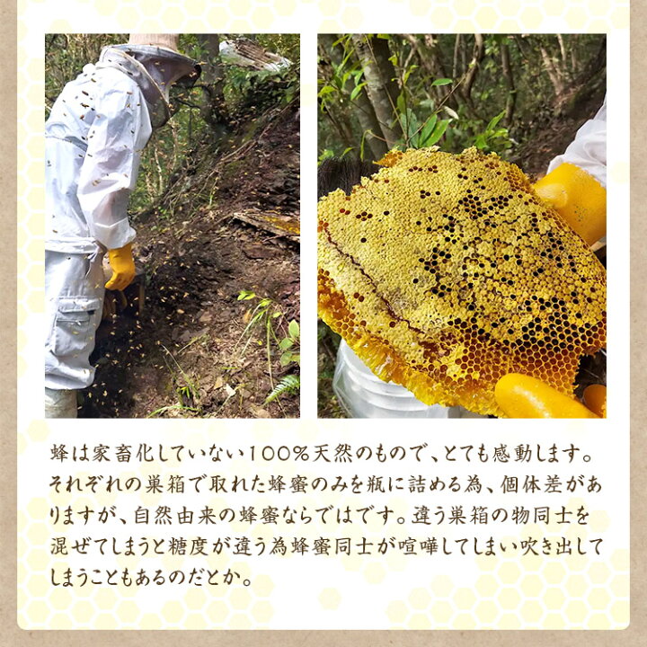 楽天市場】【宅急便】宮崎県産 天然はちみつ 240g 日本ミツバチの蜜 