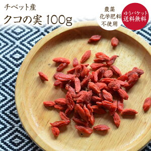 y䂤pPbg z`xbgY NR̎ 100g _򉻊w엿sgp hCSWx[ hCt[c fU[g gbsO e