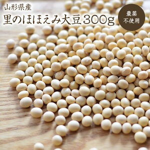 y}ցzR`Y哤 ̂قق y300gzߘa6NYR͔| _엿sgp _哤 R` 哤