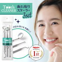 去煙垢用品｜歯石取り スケーラー 歯石とり 器具 歯石除去 歯 ヤニ取り ヤニとり 歯垢取り セット 虫歯 むし歯 歯周病予防 歯石 歯…