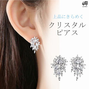 lCsAX Vo[ EGfBO uC_ Vo[sAX ANZT[ uC_ANZT[ 񎟉 p[eB[ EGfBOANZT[ [B388]yz