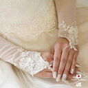 ウエディング グローブ フィンガーレスグローブ レース フィンガーレス ブライダル ロング 40cm オフホワイト アイボ…
