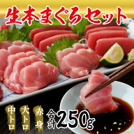 海鮮『 絶品！ 国産 生 本マグロ 堪能セット 』 大トロ 50g + 中トロ 100g + 赤身 100g （柵どり） マグ…