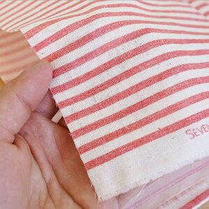 n@z@{[_[@Y_uK[[ 50cmJbgNX@[֐4܂Łyppz