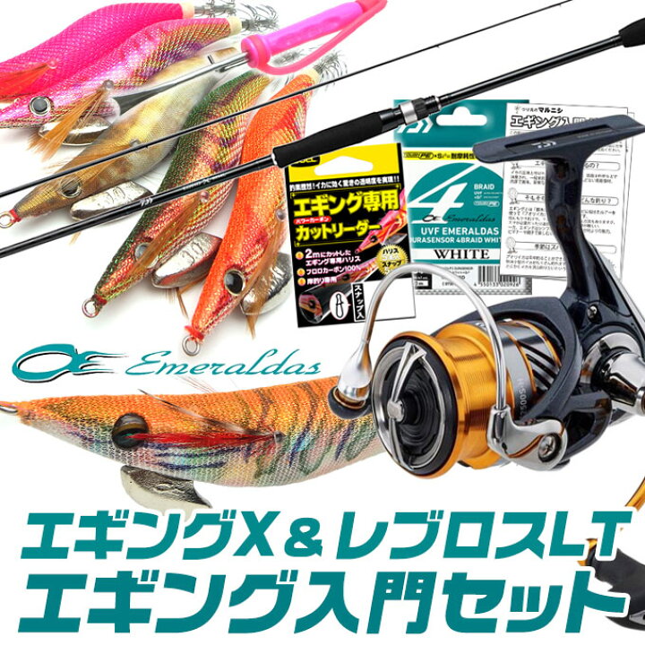 楽天市場】(E3)【代引き不可】DAIWA エギング入門セット [ダイワリール 