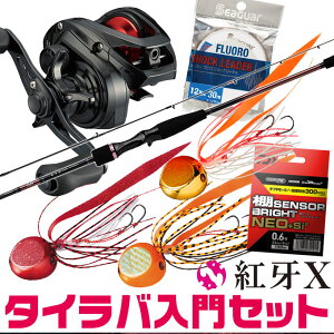 ダイワ タイラバ ロッド 紅牙の人気商品 通販 価格比較 価格 Com