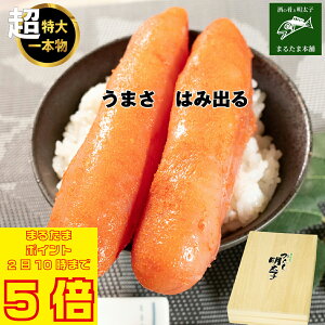 _܂邽܃|Cg5{ 11210܂Ł^q F 炵q 1kg (500g×2) 1{   т̂    񂹃O