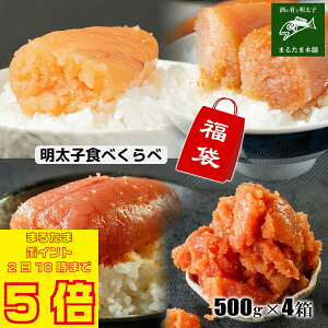 _܂邽܃|Cg5{ 11210܂Ł^y܁zqHׂ q؎q500g hTߓ؎q500g t炱؎q500g 󂠂薾q؏500g 񂹃O