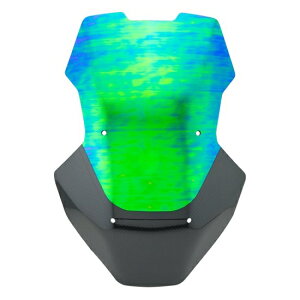 z_ ADV150 SPEEDY EChV[h EChXN[ 10105100