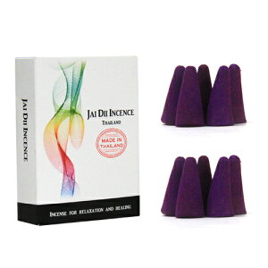  R[ BLUE BERRY u[x[ 20yc023z،n CZX A} GXjbN