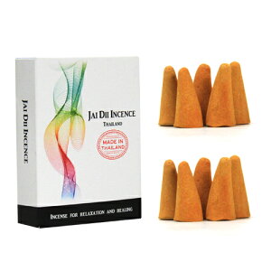 ���� �R�[�� PERFUME �p�t���[�� 20����yc047�z���̑��n �C���Z���X �A���} �G�X�j�b�N