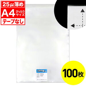 yr[100~N[|zOPP e[vȂ A4p 25~N ҂TCY  Y 100