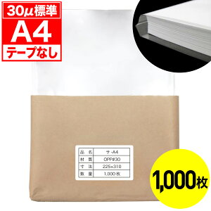 yr[100~N[|zOPP e[vȂ A4p 30~N W Y 1000