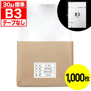 yr[100~N[|zOPP e[vȂ B3p 30~N W Y 1000