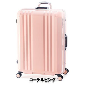 A.L.I �A�W�A���Q�[�W �f�J����Edge FRAME ALI-070R-28 �e�ʁF96L/�d�ʁF5kg ��ו��a�������ő�T�C�Y