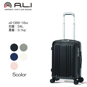 AWAQ[W fJEdge t@Xi[^Cv ALI-088-18W e34L/d3.1kg