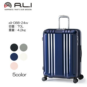 AWAQ[W fJEdge t@Xi[^Cv ALI-088-24W e70L/d4.2kg