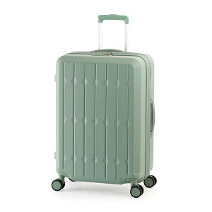 A.L.I AWAQ[W hNz_[tX[cP[X ALI-6030SD-24W