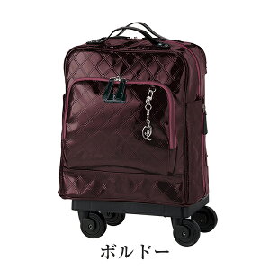 SWANY(Xj[) D-591 G}CVI (M18) T2LX^[E4փXgbp[t