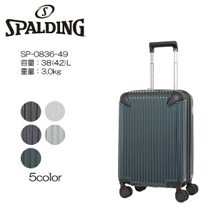 SPALDING X|fBO SP-0836-49 ÉՌzLX^[ @TCY gf 2WAYTSAbN