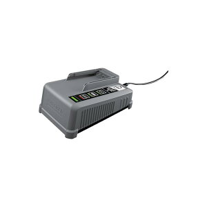 �P���q���[�W���p�� KARCHER �o�L���[���N���[�i�[�p�A�N�Z�T���[ �o�b�e���[�p���[�v���X �}���[�d�� 18/60 2.445-048.0