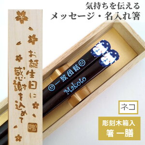大事にするネコ 若い 洋風 一膳 お祝い 木箱入り 祝い 母 お箸 誕生日 名前入り プレゼント セット ネコ 猫 20代 名前 名入れ 女性 木箱 記念日 送料無料 就職 贈り物 家族 退職 30代 父 かわい