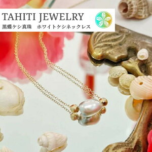 ^ ^q`PV^ S[h lbNX ubNp[  AM[ nC 40cm 40 50 ^ WG[ lbNX p[ Mtg v[g }eB  `F[ m 