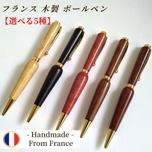 ؐ y Mtg EG d oCIbg AC{[[Y L  ẼEbh y tX fB[X  蕨 {[y y a AE ]E i j v[g n