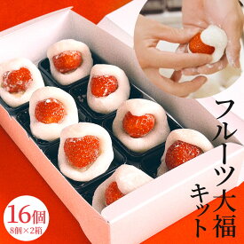 フルーツ大福キット 16個 8個×2箱 送料無料 敬老の日 プレゼント ギフト 内祝い お菓子 スイーツ 出産祝い 出産内祝い 結婚祝い 和菓子 大福 いちご大福 フルーツ大福 餅 ギフト 東京 誕生日 お返し 和菓子 無添加