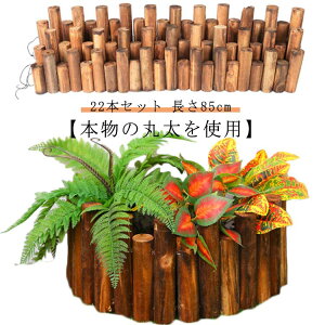 22{Zbg rB NX}Xc[ B X^hJo[ yB ۑ c[ CeA EbhtFX X}Xc[ i` CeA c[XJ[g I[ig