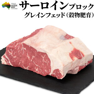 T[CXe[L Xe[L Ԑg ubN  yz [Xgr[t ؂ ē  OCtFbh r[t HX S BBQ o[xL[  ͂ O