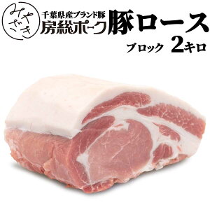 Ε Ε Mtg ykCAꌧz Y ؓ [X ubN 2L ① [|[N [Xg|[N  tY uh