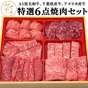【送料無料 贈答用包装】 焼肉セット 食べ比べ 6種類 600グラム 冷凍 / 冷蔵 黒毛和牛 A5 牛肉 牛タン 赤身 霜降り 焼肉 鉄板焼 BBQ バーベキュー お取り寄せ おうちごはん グルメ おつまみ誕生