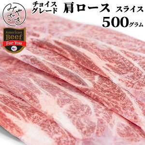 Ă Ԃ ؂藎Ƃ XCX 500g [X `bNAC[ `CX AJ Ⓚ 250g x 2  ē S BBQ o[xL[  ͂ Oa 