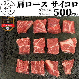 TCRXe[L 500g vC AJ Ԑg p؂ TCR _CX [X `bNAC[ Ⓚ 250g x 2  ē S BBQ o[xL[  ͂ Oa 