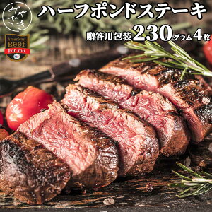 y pz 1|hXe[L n[t|h 920g vC AJ Ԑg [X `bNAC[ Ⓚ 230g x 4  ē S BBQ o[xL[  ͂ 