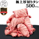 【送料無料】 厚切り牛タン 柔らかい 極上 牛タン 500g 冷凍 牛肉 焼肉 鉄板焼 BBQ バーベキュー お取り寄せ おうちごはん グルメ父の日 贈り物 プレゼント ギフト