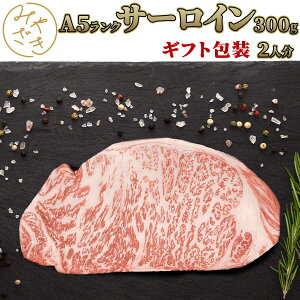 y Mtgz Y јa A5 T[CXe[L 300g a ~  Ⓚ Xe[L   S BBQ o[xL[  ͂ Oa 蕨 v[