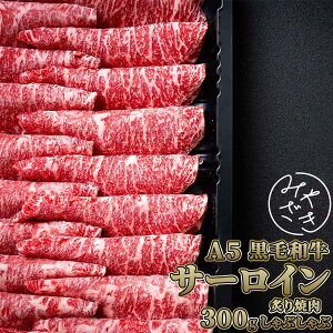 yz Y јa A5 T[C Ԃ t 300g a ~  Ⓚ Xe[L   ē S BBQ o[xL[  ͂ Oa 蕨 v